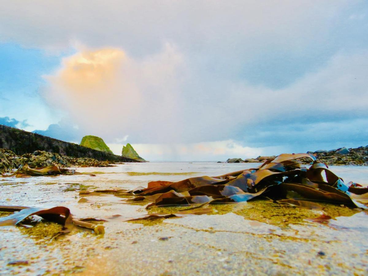 Windhaven Camping And B&B Thurso Luaran gambar