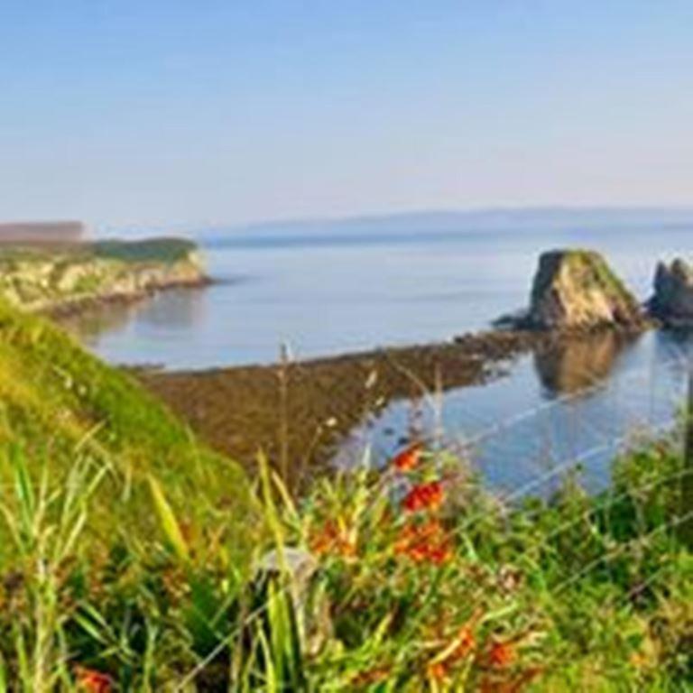 Windhaven Camping And B&B Thurso Luaran gambar