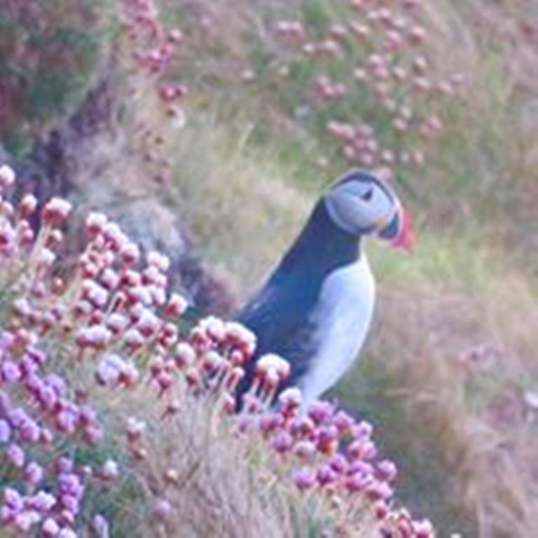 Windhaven Camping And B&B Thurso Luaran gambar